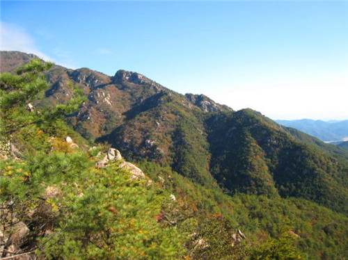 下载 (3).jpg