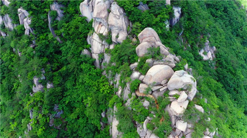 下载 (1).jpg