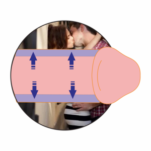 F3.png