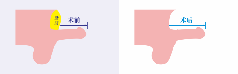 29.png